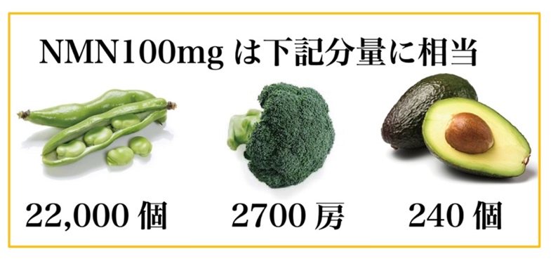 NMN100グラムの成分