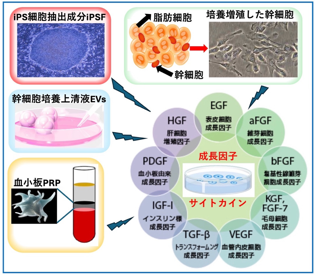 再生医療で用いられる4種類の生体材料