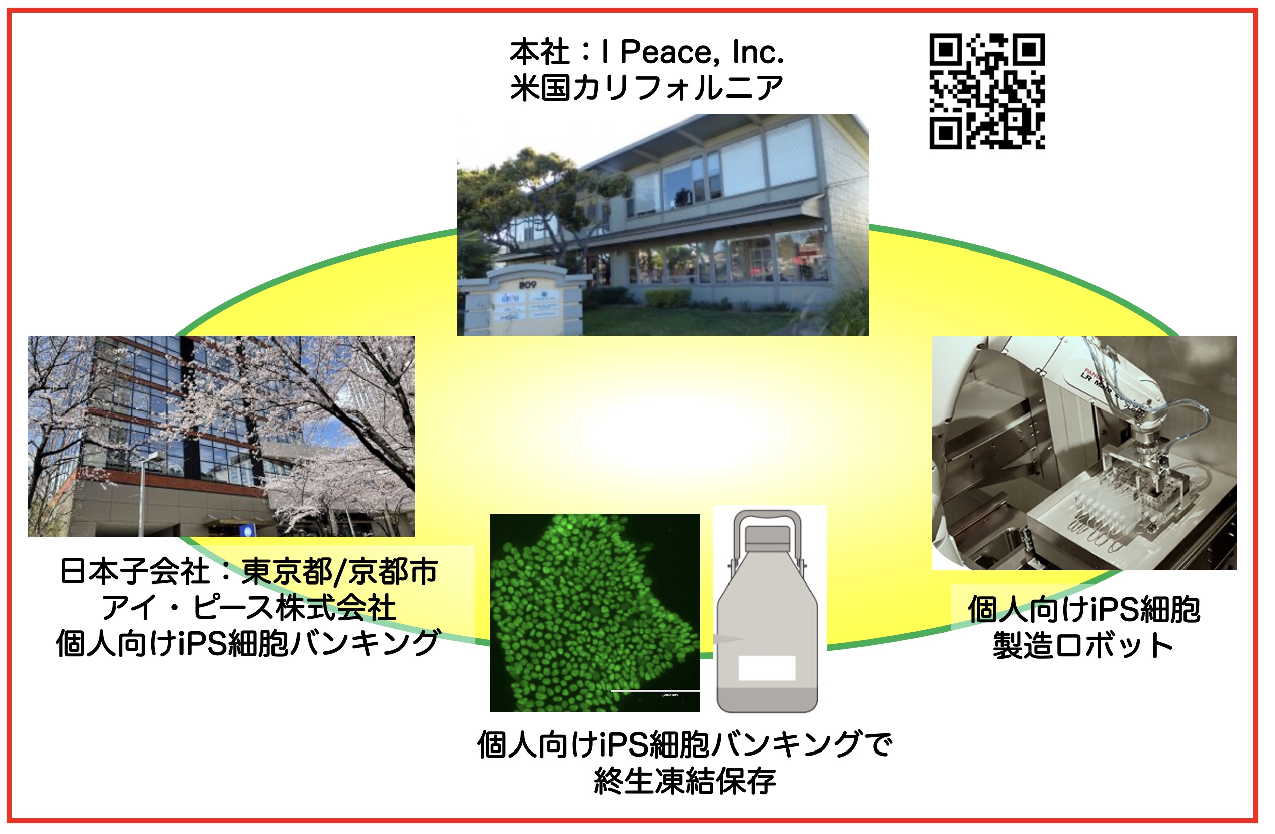 個人向けiPS細胞バンク